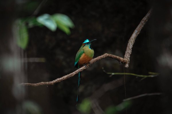 les actualités sur le changement climatique et l'environnement